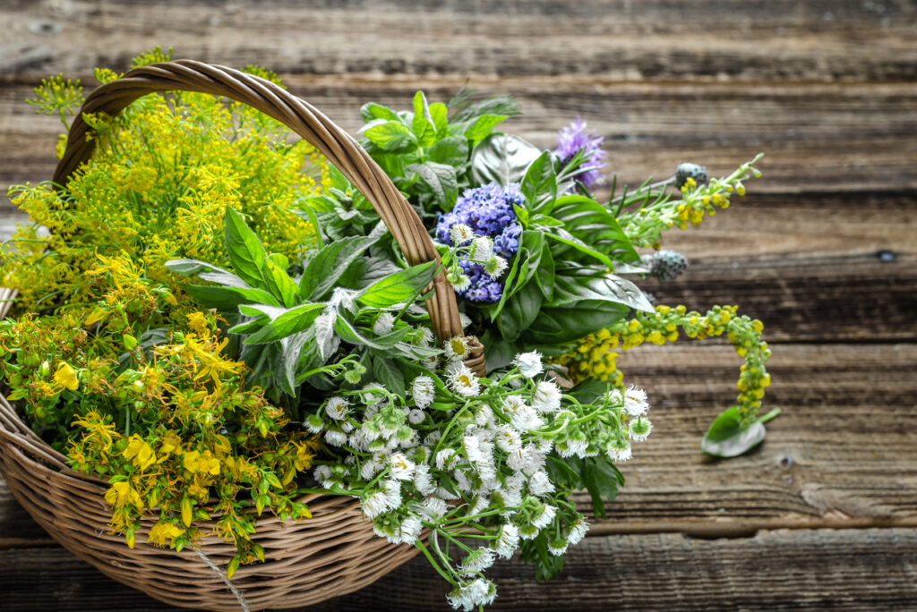 iStock 1300788759 Akupunktura, terapia manualna, ajurweda – holistyczne podejście do łagodzenia bólu przewlekłego